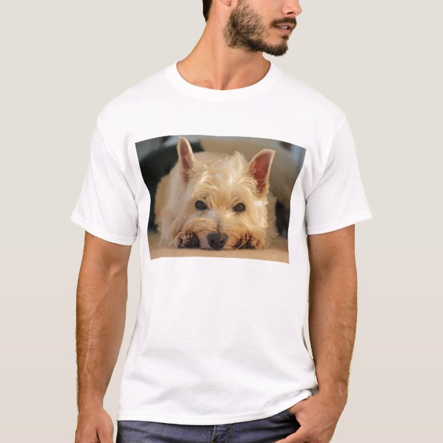 Niedliches Westhochland-Terrier-Hundet-shirt T-Shirt (Vorderseite)
