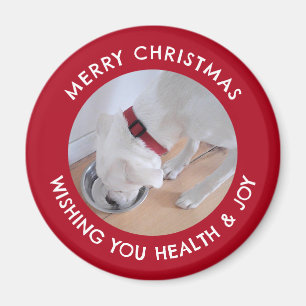 Niedliches White Dog Foto Gesund froh Weihnachten Magnet