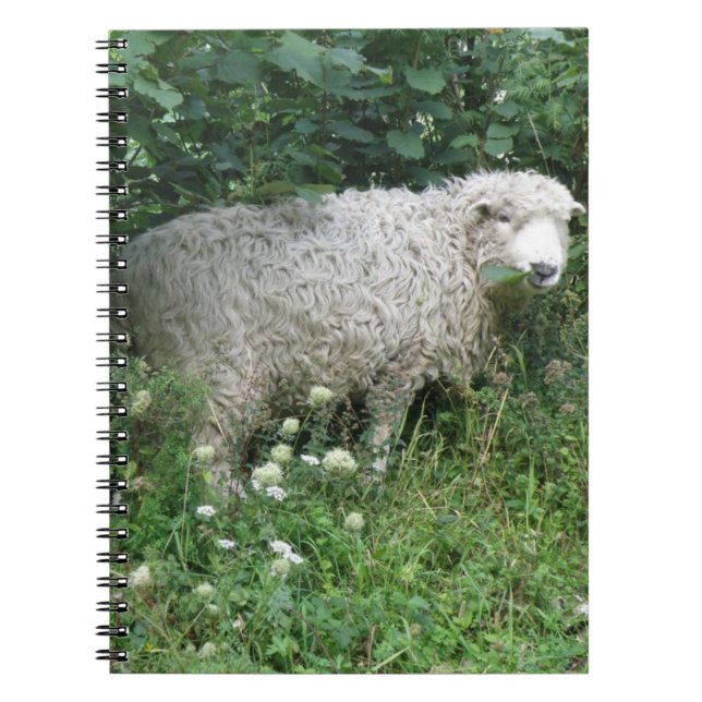 Niedliches White Fluffy Sheep Eating Notebook Notizblock (Vorderseite)