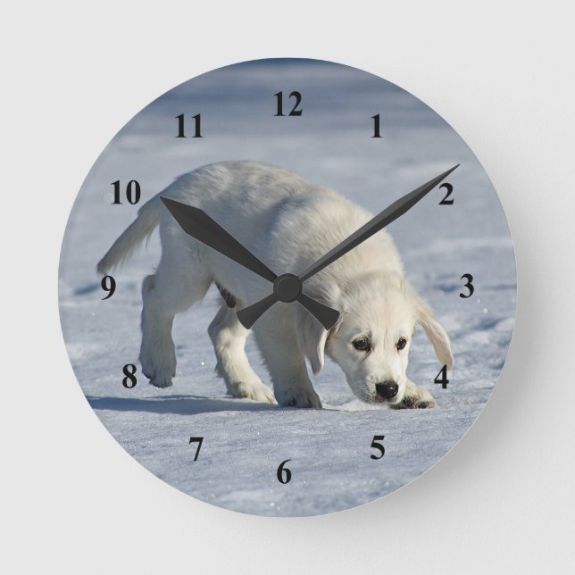 Niedliches White Puppy Snow Foto Runde Wanduhr (Vorderseite)