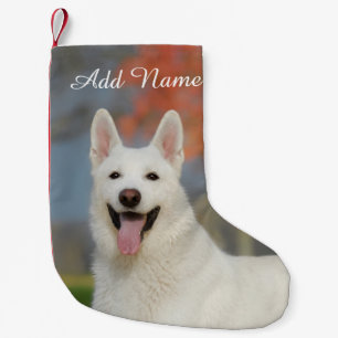 Niedliches White Swiss Shepherd Hund Foto - Name Kleiner Weihnachtsstrumpf