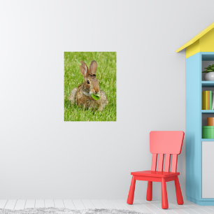 Niedliches wildes Kaninchenessen Poster