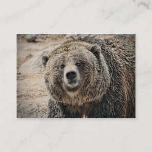 Niedliches wildes Tiergrizzly-Bärn-Gesicht Visitenkarte