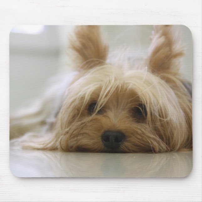 Niedliches Yorkie Mousepad (Vorne)