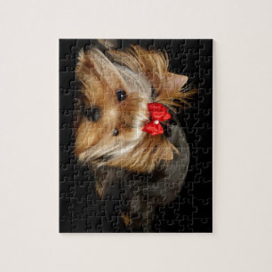 Niedliches yorkie puzzle