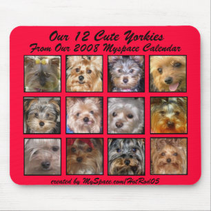NIEDLICHES YORKIES 2008 KALENDER-(auf einem Mousepad
