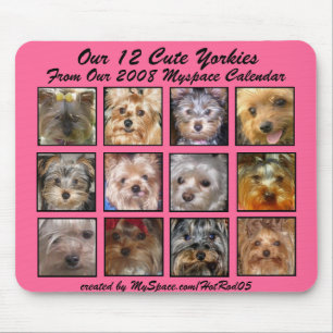 NIEDLICHES YORKIES 2008 KALENDER-(auf einem Mousepad