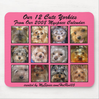 NIEDLICHES YORKIES 2008 KALENDER-(auf einem Mousepad