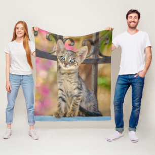 Niedliches Young Tabby Kitten mit blauen Augen in  Fleecedecke