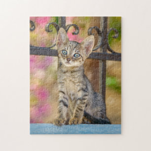 Niedliches Young Tabby Kitten mit blauen Augen in Puzzle