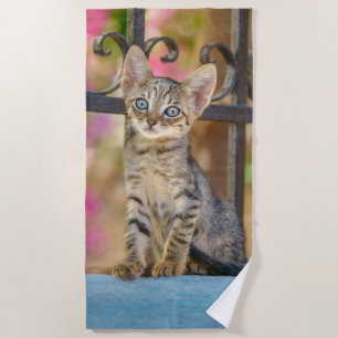 Niedliches Young Tabby Kitten mit blauen Augen in Strandtuch