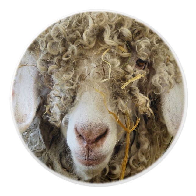 NIEDLICHES ZIEL KERAMIKKNAUF (Vorderseite)