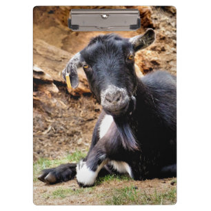 NIEDLICHES ZIEL KLEMMBRETT