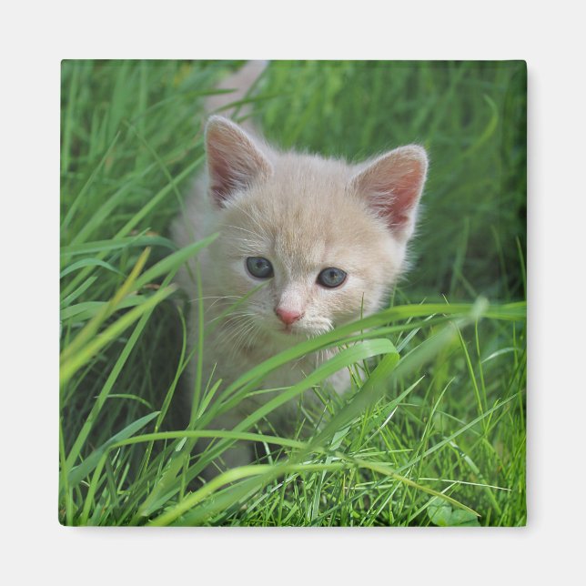 Niedlichkeit Magnet (Vorne)