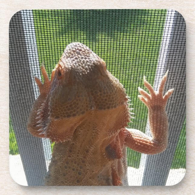 Niedlichster bärtiger Drache-Foto-Druck Getränkeuntersetzer (Vorderseite)