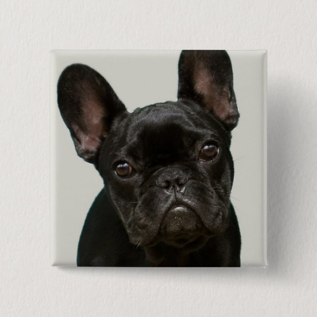 Niedlichster französische Bulldoggen-Welpe Button (Vorderseite)