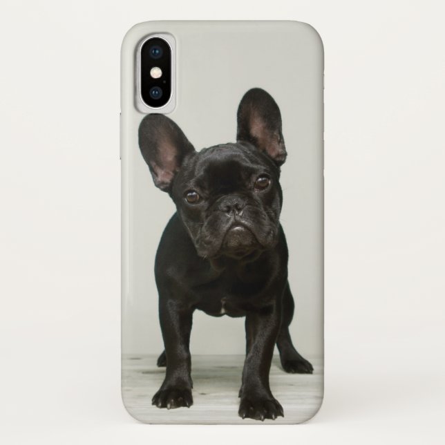 Niedlichster französische Bulldoggen-Welpe Case-Mate iPhone Hülle (Rückseite)