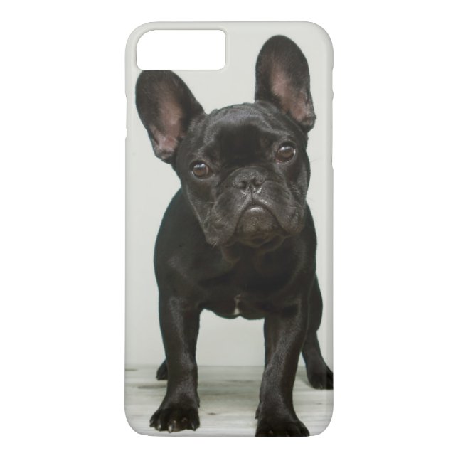 Niedlichster französische Bulldoggen-Welpe Case-Mate iPhone Hülle (Rückseite)