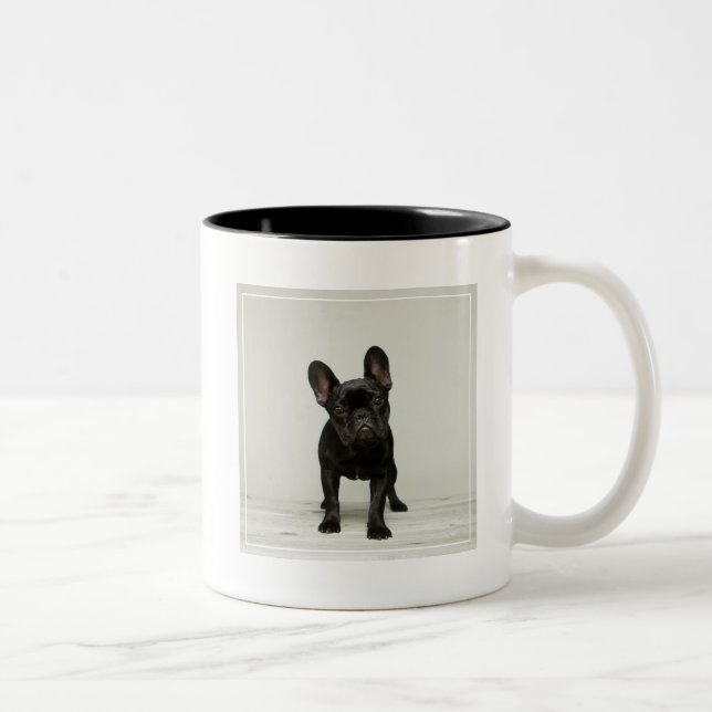 Niedlichster französische Bulldoggen-Welpe Zweifarbige Tasse (Rechts)