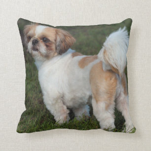 Niedlichster Shih Tzu Kissen
