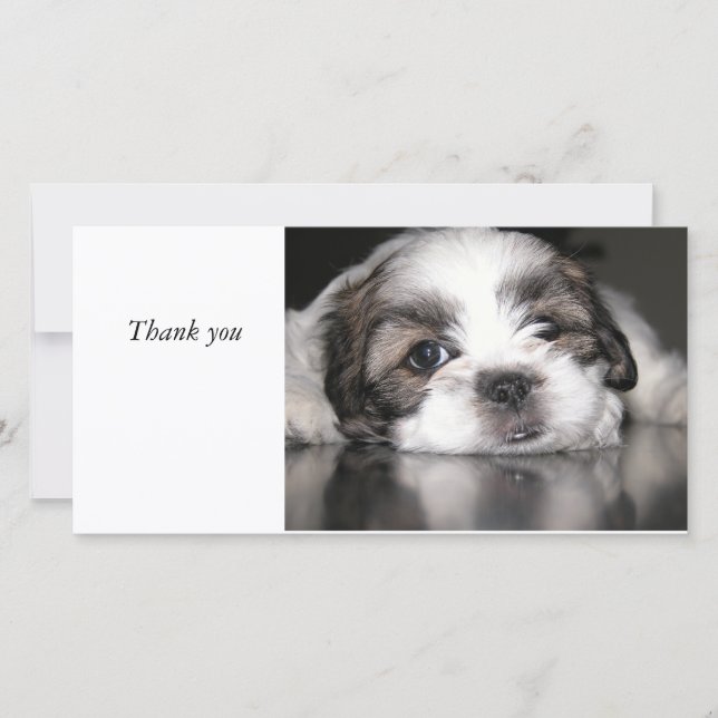 niedlichster Welpe überhaupt, danke (Vorderseite)