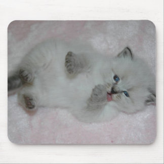 Niedlichstes SibKitten Mousepad - besonders
