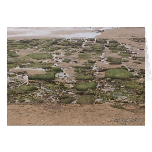 Niedrige Stufe 2 (Vorderseite (Horizontal))