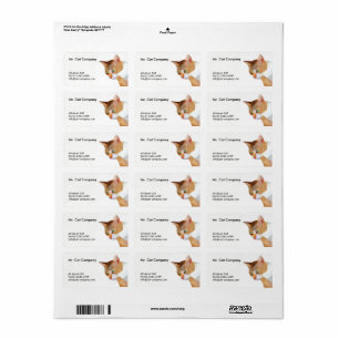 Niedriges Polygon der orange Katze Adressaufkleber