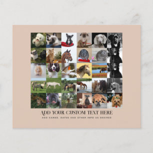 Niedrigste Preise! 35 x FOTO Collage und benutzerd Flyer