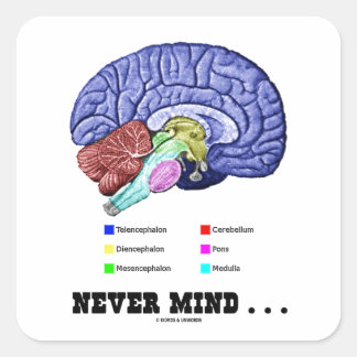 Niemals Gedanken ... (Gehirnanatomie Psyche Spaß Quadratischer Aufkleber