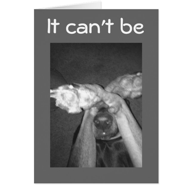 NIEMALS UNMÖGLICH-***30.*** SAGT ERSTAUNTER HUND (Vorne)