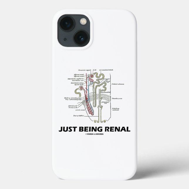 Niere Nephron Anatomie-Spaß Case-Mate iPhone Hülle (Rückseite)