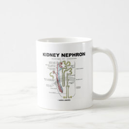 Niere Nephron Kaffeetasse