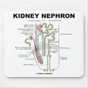 Niere Nephron Mousepad
