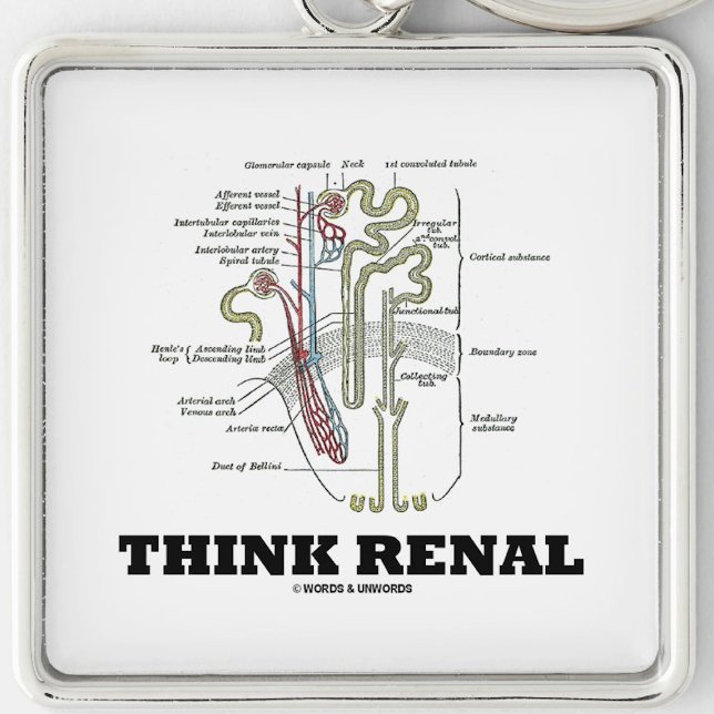Niere (Niere Nephron) Schlüsselanhänger (Nephrological attitude keychain featuring a kidney's nephron with this advice "Think Renal")