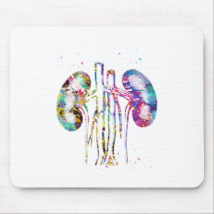 Nieren Anatomie Mousepad