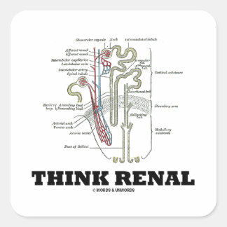 Nieren denken (Nephron Anatomy Illustration) Quadratischer Aufkleber