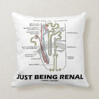 Nieren gerade seiend (Niere Nephron NierenSpaß) Kissen