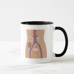 Nieren-Transplantation Tasse