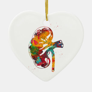 Nierenabschnitt Keramik Ornament