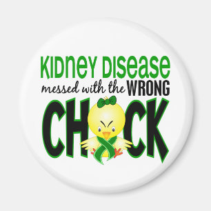 Nierenerkrankung, die mit dem falschen Kätzchen ve Magnet