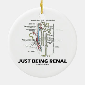 Nierenfunktion (Niere Nephron Nieren-Spaß) Keramikornament