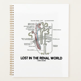 Nierenfunktions-Nephron Planer
