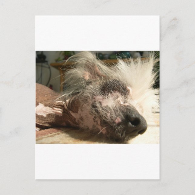 niesen postkarte (Vorderseite)