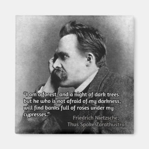 Nietzsche Zitat zur Dunkelheit Magnet