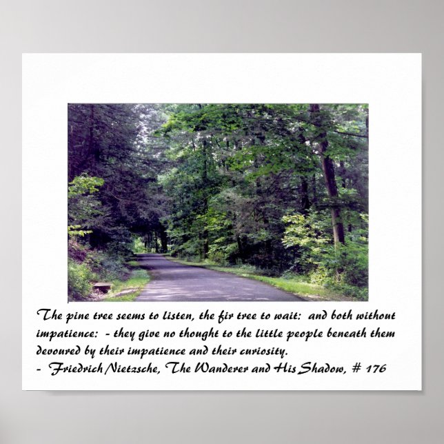 Nietzsche's Forest - Plakat (Vorne)