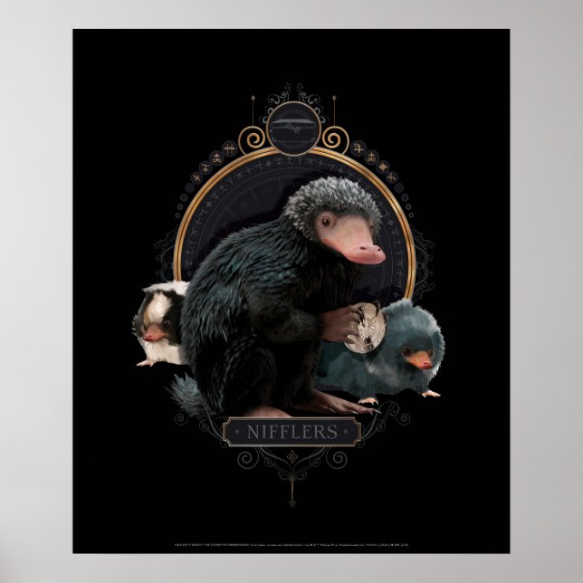 NIFFLER™s Jugendportrait Poster (Vorne)