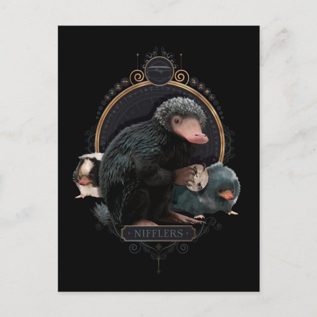 NIFFLER™s Jugendportrait Postkarte (Vorderseite)