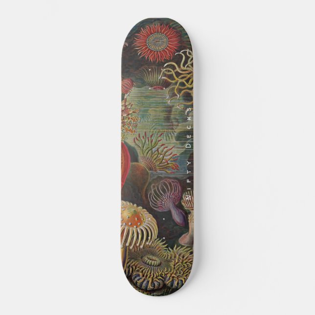 Nifty Decks - Wunder des Meeres - Actiniae Skateb Skateboard (Vorderseite)