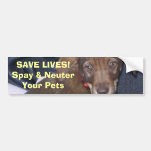 Nigel sagt: RETTEN SIE DIE LEBEN! Spay u. Autoaufkleber